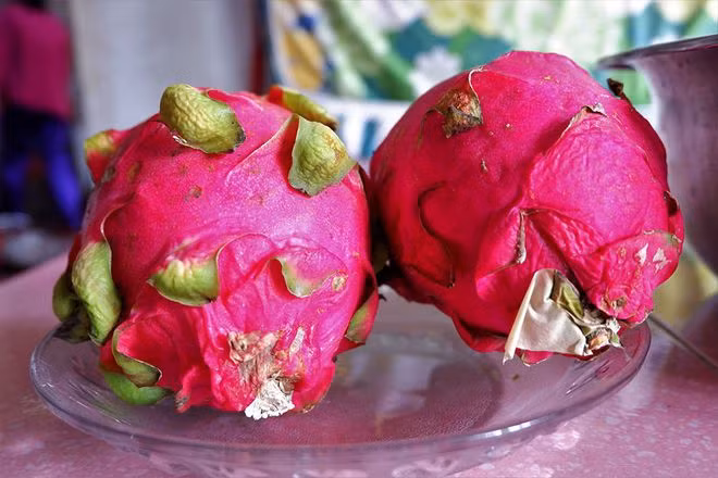 Nguyên liệu làm bánh tráng thanh long là loại thanh long ruột đỏ, trái phải to, nặng từ 1kg/trái mới làm được chiếc bánh tráng thanh long có màu đẹp nhất ẢNH: MINH CHƠN