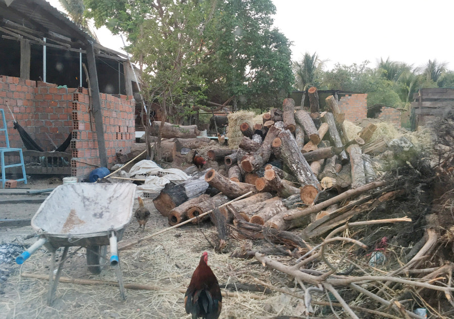 Một lò sấy thuốc lá tại thôn 1, xã Pơ Tó, huyện Ia Pa ngang nhiên sử dụng cửi rừng tự nhiên để làm chất đốt. Ảnh: Vĩnh Hoàng Một lò sây thuốc lá tại thôn 1, xã Pơ Tó, huyện Ia Pa ngang nhiên sử dụng cửi rừng tự nhiên để làm chất đốt. Ảnh: Vĩnh Hoàng