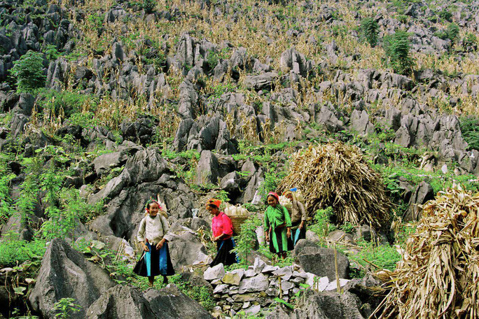 Ảnh: Trung tâm Thông tin và Xúc tiến Du lịch Hà Giang