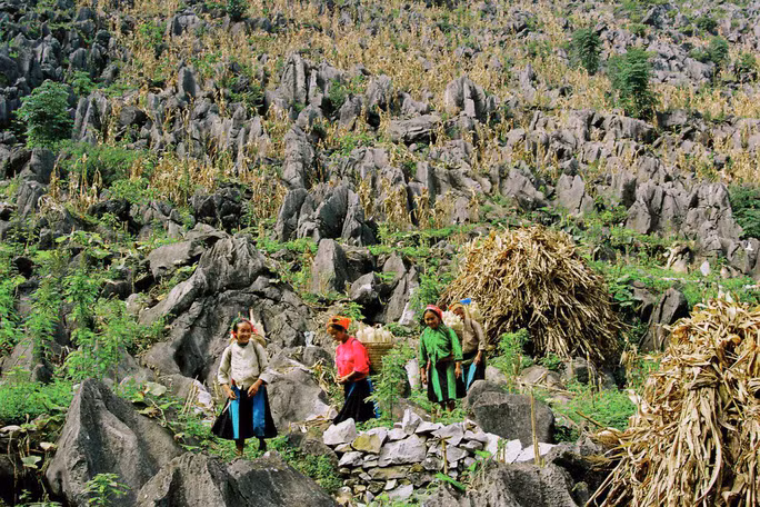 Ảnh: Trung tâm Thông tin và Xúc tiến Du lịch Hà Giang