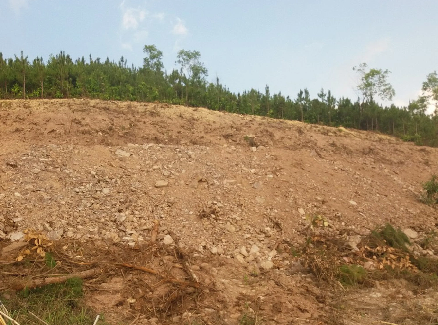 Hiện trường vụ san ủi lấn chiến đất rừng tại TK 298C, TT.Liên Nghĩa. ẢNH: LÂM VIÊN
