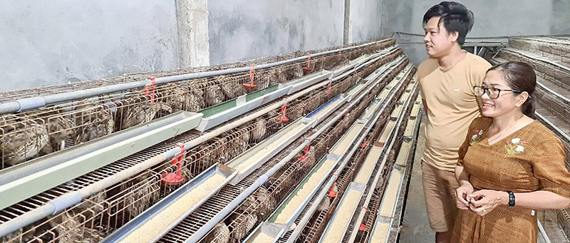 Anh Hoàng Văn Kim (xã Vĩnh Lâm, huyện Vĩnh Linh, tỉnh Quảng Trị) luôn sẵn sàng chia sẻ kinh nghiệm cho các hộ gia đình đến tìm hiểu mô hình nuôi chim cút -Ảnh: N.T Anh Hoàng Văn Kim (xã Vĩnh Lâm, huyện Vĩnh Linh, tỉnh Quảng Trị) luôn sẵn sàng chia sẻ kinh nghiệm cho các hộ gia đình đến tìm hiểu mô hình nuôi chim cút -Ảnh: N.T