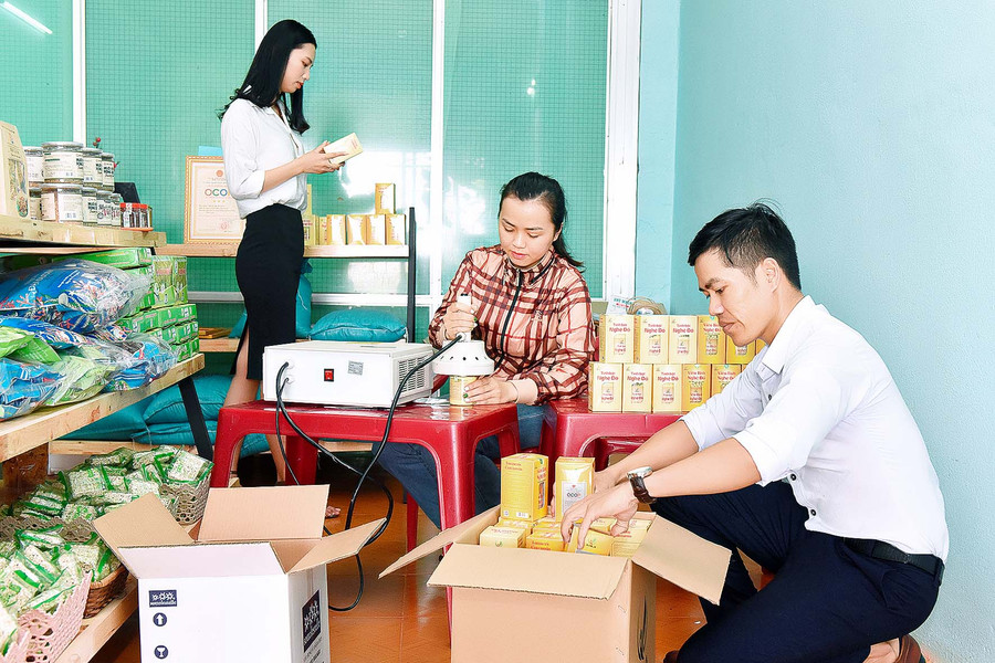 9.ông Nguyễn Long Khánh-Trưởng phòng Nông nghiệp và PTNT huyện Chư Pưh-cho biết: Trong năm 2021, huyện Chư Pưh sẽ tích cực hỗ trợ các doanh nghiệp, nâng cao chất lượng thương hiệu OCOP. Đồng thời, sẽ không giới hạn các sản phẩm tham gia OCOP, đặc biệt các sản phẩm mang tính kết nối cộng đồng cao.