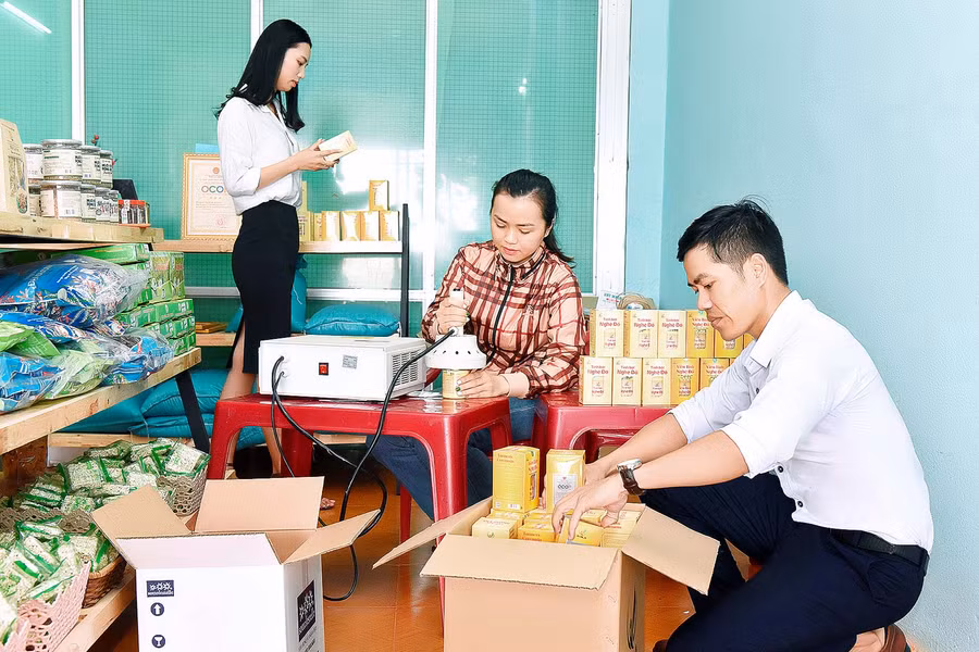 9.ông Nguyễn Long Khánh-Trưởng phòng Nông nghiệp và PTNT huyện Chư Pưh-cho biết: Trong năm 2021, huyện Chư Pưh sẽ tích cực hỗ trợ các doanh nghiệp, nâng cao chất lượng thương hiệu OCOP. Đồng thời, sẽ không giới hạn các sản phẩm tham gia OCOP, đặc biệt các sản phẩm mang tính kết nối cộng đồng cao.
