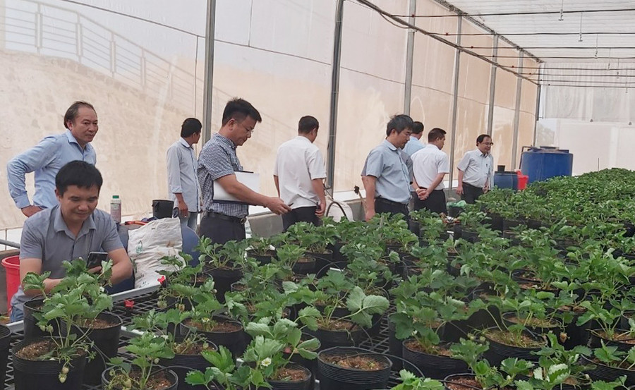 Đoàn công tác Cục SHTT tham quan Khu thực nghiệm ứng dụng KH-CN (phường Chi Lăng, TP. Pleiku). Ảnh: Ngọc Thu