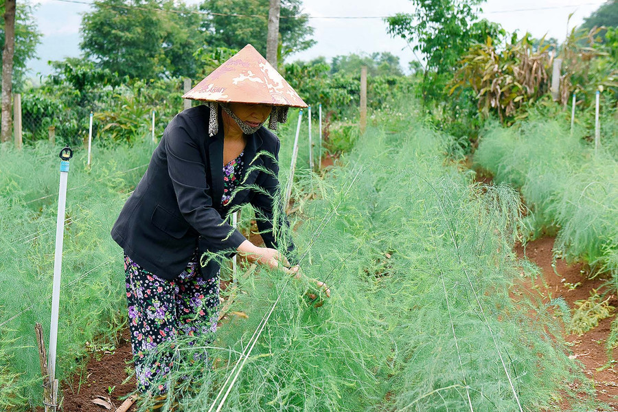 Chủ tịch Hội Liên hiệp Phụ nữ huyện Chư Păh, Nguyễn Thị Thúy cho biết: Việc hỗ trợ vay vốn cho chị em phụ nữ trên địa bàn huyện phát triển kinh tế, ổn định cuộc sống thông qua nguồn vốn tín dụng chính sách của Ngân hàng Chính sách Xã hội luôn nhận được sự quan tâm và tham gia của các chị em hội viên. Qua đó, góp phần tích cực vào việc phát triển kinh tế-xã hội, giảm nghèo bền vững, xây dựng nông thôn mới trên địa bàn huyện.