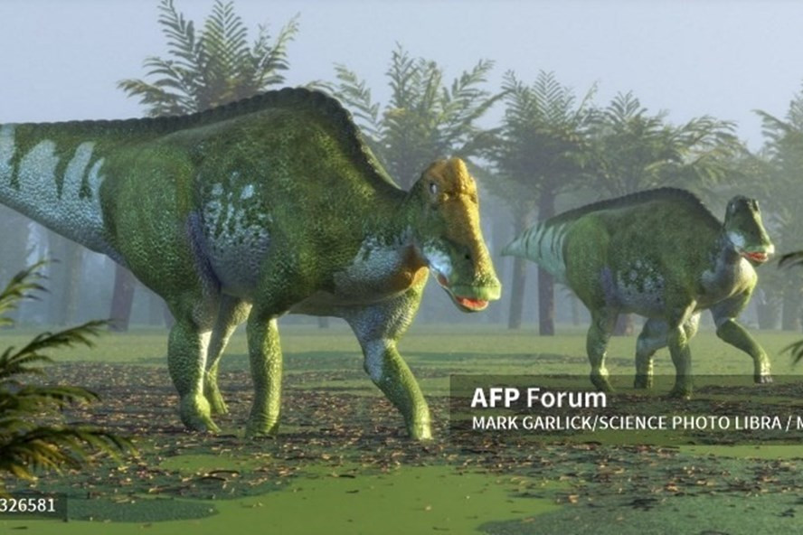 Chi Edmontosaurus - thuộc họ khủng long mỏ vịt. Ảnh: AFP Chi Edmontosaurus - thuộc họ khủng long mỏ vịt. Ảnh: AFP