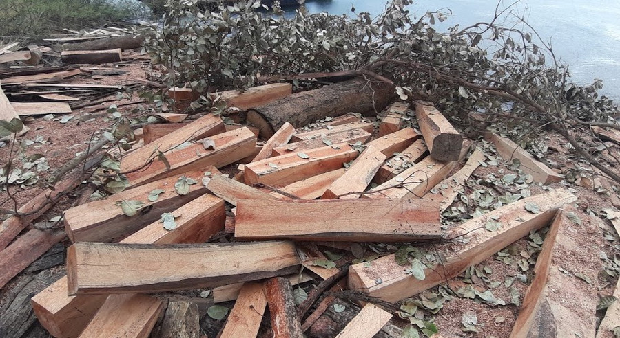 2. Qua kiểm đếm, lực lượng chức năng xác định khoảng 2,2 m3 gỗ xẻ được tập kết trái phép trên các đảo trong hồ thủy điện Sê San 4. Ảnh_ H.S jpeg