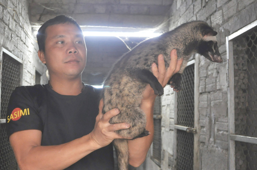 Anh Khánh bên trong trang trại chồn hương. ẢNH: THÙY DƯƠNG Anh Khánh bên trong trang trại chồn hương. ẢNH: THÙY DƯƠNG