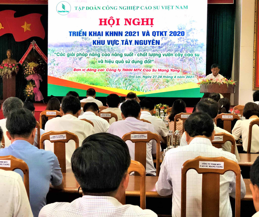 Ông Trương Minh Tiến-Tổng Giám đốc Công ty TNHH một thành Cao su Mang Yang nêu giải pháp nâng cao năng suất-chất lượng vườn cây cao su và hiệu quả sử dụng đất- Ảnh. Đinh Yến