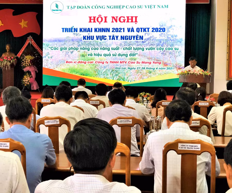 Ông Trương Minh Tiến-Tổng Giám đốc Công ty TNHH một thành Cao su Mang Yang nêu giải pháp nâng cao năng suất-chất lượng vườn cây cao su và hiệu quả sử dụng đất- Ảnh. Đinh Yến