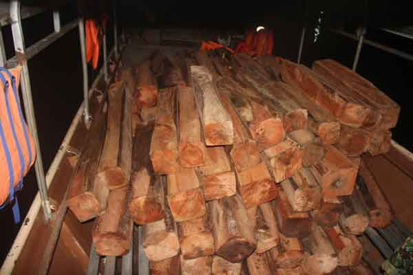 7. Gỗ xe chất trong khoang thuyền để chở về Đồn Biên phòng Ia O