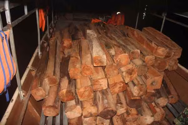 7. Gỗ xe chất trong khoang thuyền để chở về Đồn Biên phòng Ia O