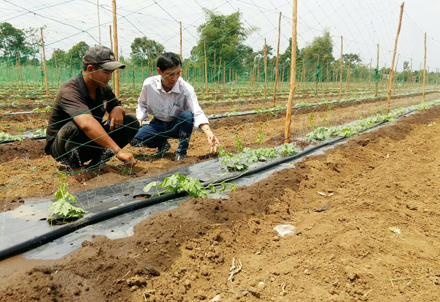 Cán bộ Hội Nông dân xã Tân Sơn trao đổi kinh nghiệm sản xuất với hội viên. Ảnh: Thanh Nhật  Cán bộ Hội Nông dân xã Tân Sơn trao đổi kinh nghiệm sản xuất với hội viên. Ảnh: Thanh Nhật