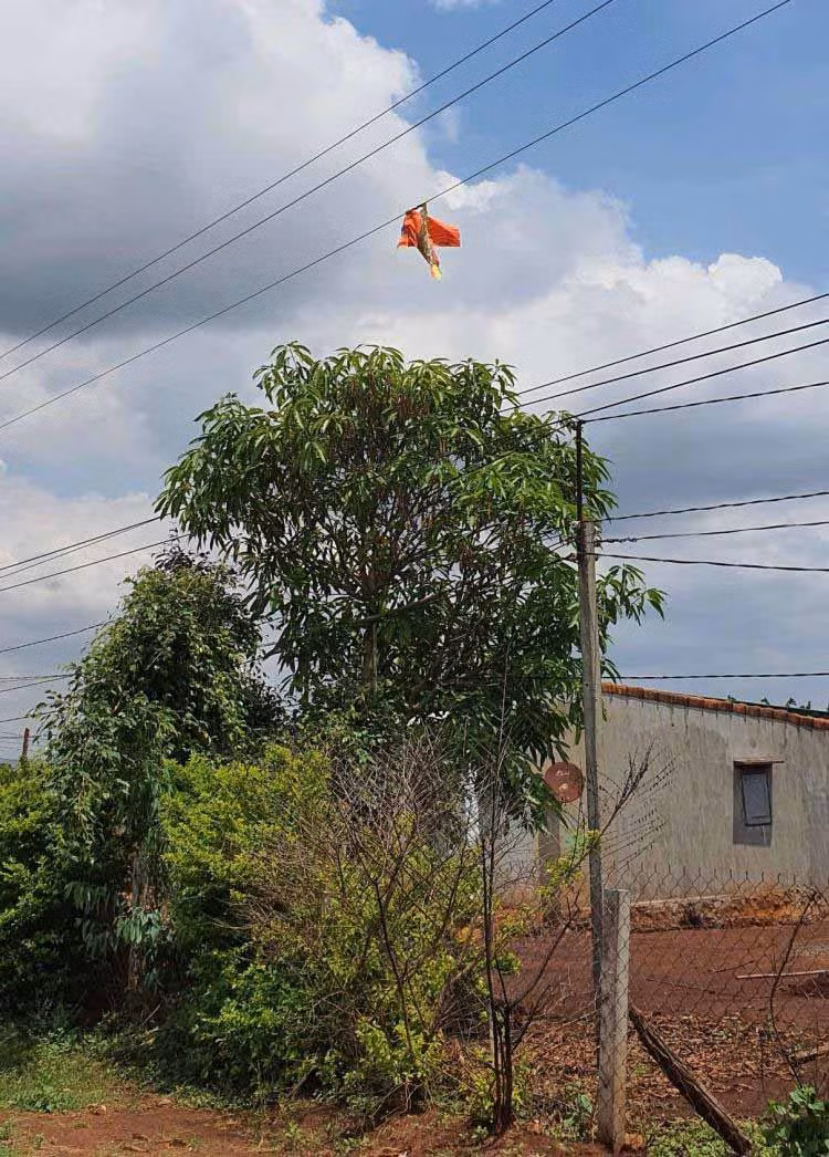 Diều vướng vào đường dây điện gây mất an toàn. Ảnh: Hà Duy