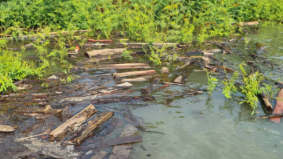 Nhiều lóng gỗ nổi lênh bềnh trên mặt nước. Ảnh: Hoành Sơn