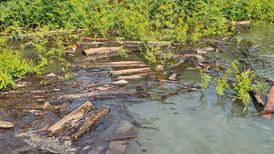 Nhiều lóng gỗ nổi lênh bềnh trên mặt nước. Ảnh: Hoành Sơn