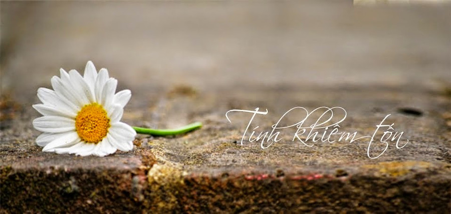 Ảnh minh họa: Internet