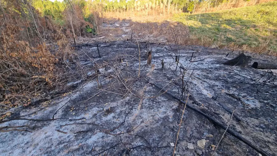 Khu vực rừng cộng đồng giao cho buôn Chư Tung, xã Ia Dreh, huyện Krông Pa bị người dân đốt làm rẫy. (ảnh 7)