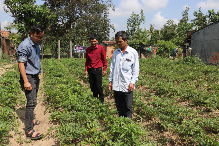 Cán bộ Trung tâm Dịch vụ Nông nghiệp thị xã An Khê trao kỹ thuật trồng cây dược liệu. Ảnh Ngọc Minh