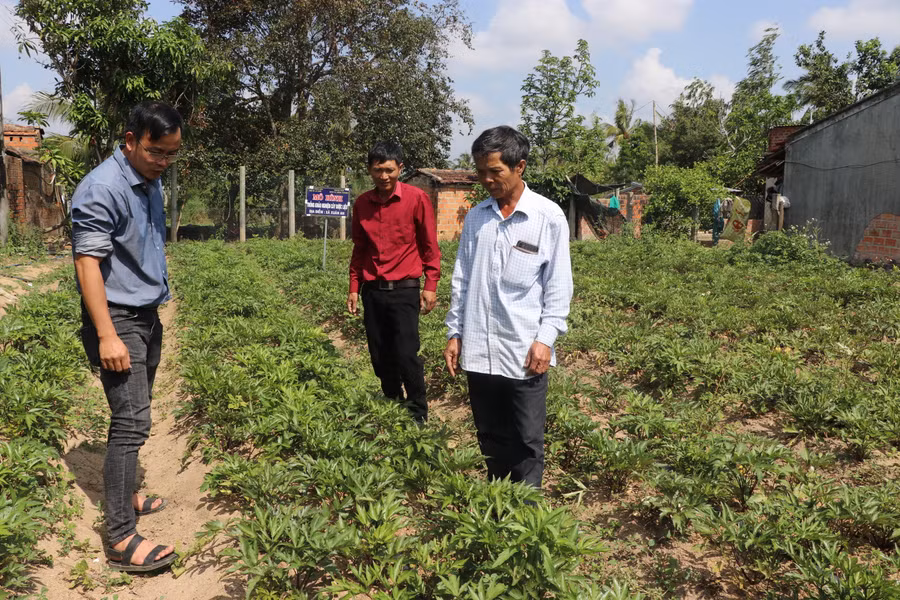 Cán bộ Trung tâm Dịch vụ Nông nghiệp thị xã An Khê trao kỹ thuật trồng cây dược liệu. Ảnh Ngọc Minh