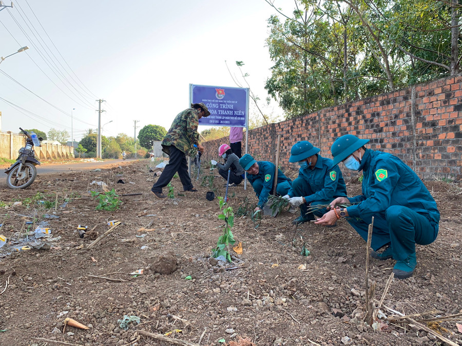 Đoàn Thanh niên thị trấn Chư Sê (huyện Chư Sê) trồng vườn hoa thanh niên. Ảnh P.L