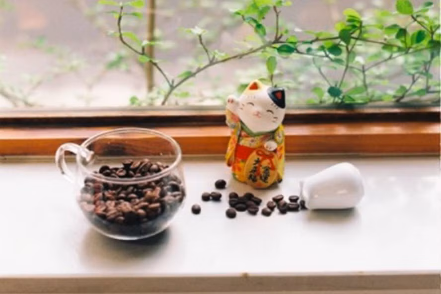 Trà và cà phê đều có nhiều lợi ích với sức khỏe, nhưng bạn nên chọn uống cà phê vào buổi sáng. Ảnh: Thanh Phát