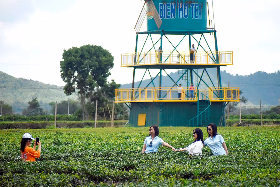 Tuy nhiên, để chụp ảnh kỷ niệm, nhiều người tranh thủ tháo khẩu trang, sau đó lại đeo vào ngay.