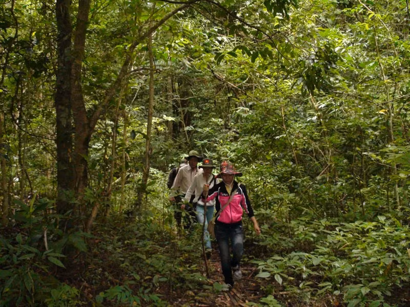 Hai vùng lõi là Vườn Quốc gia Kon Ka Kinh và Khu Bảo tồn thiên nhiên Kon Chư Răng có những khoảnh rừng nguyên sinh, thảm thực vật với hệ thống hồ, suối đa dạng. Khí hậu mát mẻ, ôn hòa được điều tiết bởi hệ động, thực vật phong phú. Ảnh: Tổng cục Du lịch