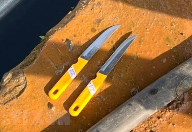  Tang vật vụ án. (Ảnh: TTXVN phát)