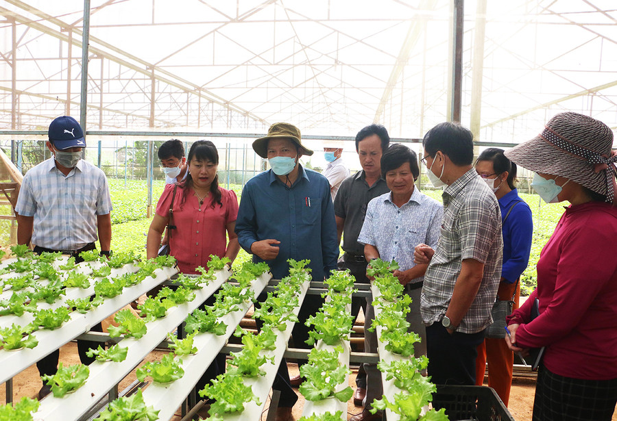 Ông Nguyễn Ngọc Hoàng-Giám đốc Công ty TNHH một thành viên Hương Đất An Phú (thứ 4 từ phải sang) nêu những khó khăn mà Công ty đang gặp phải. Ảnh: Quang Tấn
