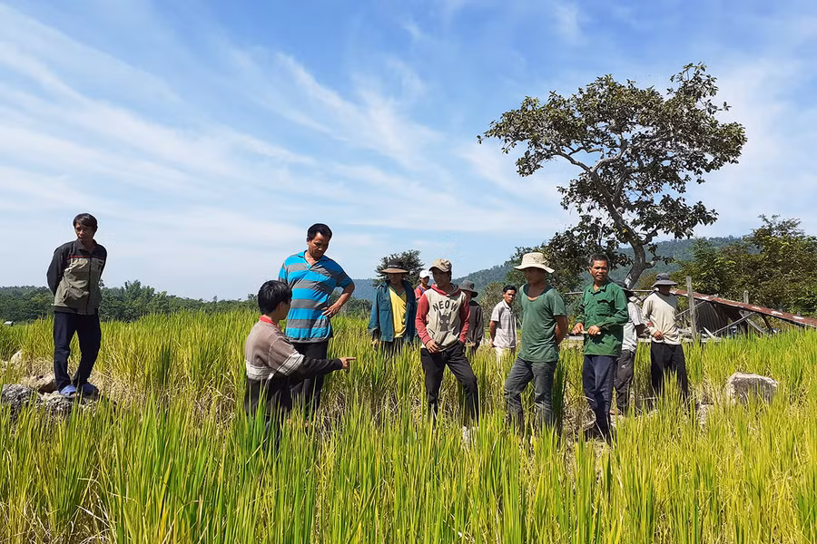 Hướng dẫn kỹ thuật canh tác cho người dân. Ảnh: Mai Ka