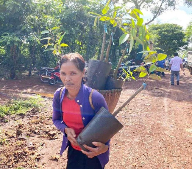 Hộ gia đình khó khăn được hỗ trợ cây giống sầu riêng