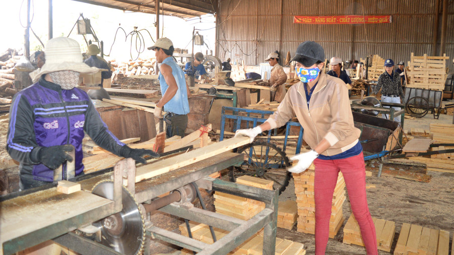  Công nhân làm việc ở các nhà máy chế biến gỗ cao su tiềm ẩn nhiều nguy cơ tai nạn lao động. Ảnh: Đinh Yến