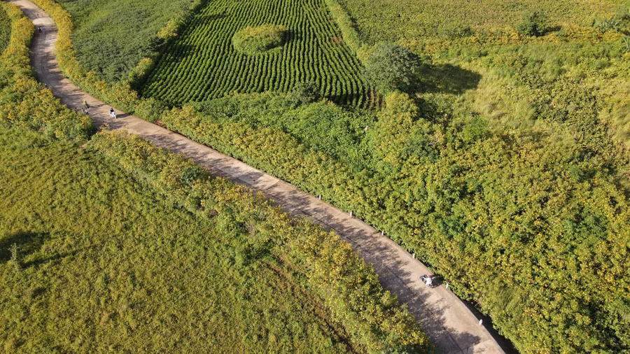 Huyện Chư Păh là điểm đến hút khách du lịch đến tham quan. Ảnh: Thiên Di