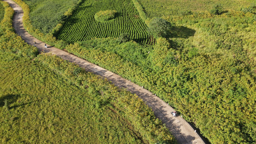 Huyện Chư Păh là điểm đến hút khách du lịch đến tham quan. Ảnh: Thiên Di