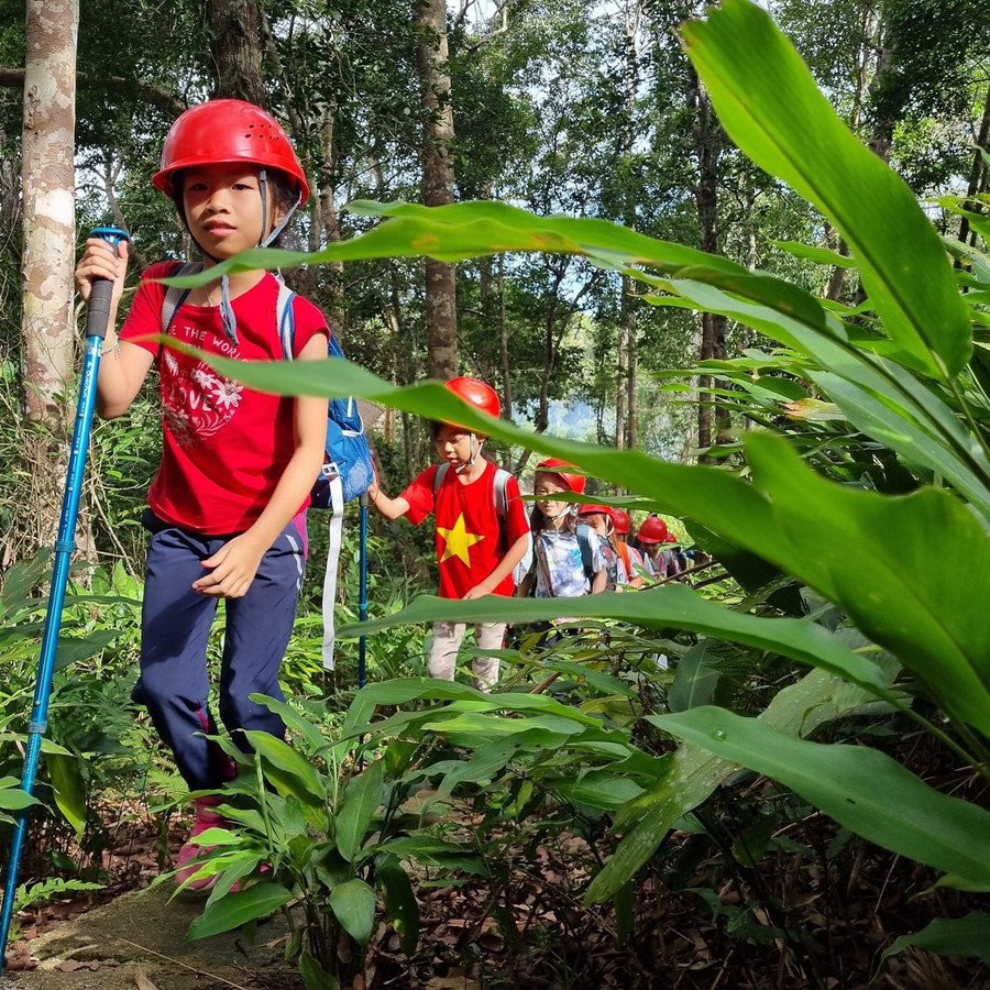 Hành trình khám phá núi rừng Gia Lai của trẻ em Hà Nội. Ảnh: Hoàng Ngọc