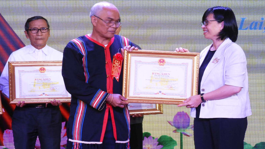 Phó Chủ tịch UBND tỉnh Nguyễn Thị Thanh Lịch trao Bằng khen của Chủ tịch UBND tỉnhcho các cá nhân điển hình. Ảnh: Thanh Nhật 