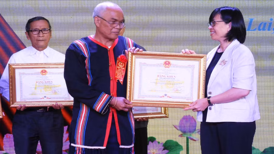 Phó Chủ tịch UBND tỉnh Nguyễn Thị Thanh Lịch trao Bằng khen của Chủ tịch UBND tỉnhcho các cá nhân điển hình. Ảnh: Thanh Nhật 