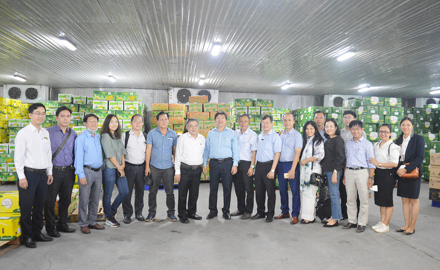  Đoàn Công tác của trường tham quan khu vực chế biến chuối của Công ty. Ảnh: Anh Huy