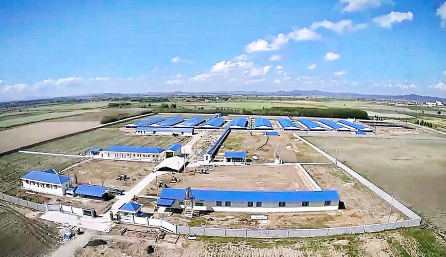  2 Trang trại chăn nuôi heo công nghệ cao của Công ty cổ phần nông nghiệp Navifarm tại xã Pờ Tó (huyện Ia Pa) có quy mô 14,75 ha. Ảnh: Minh Nguyễn