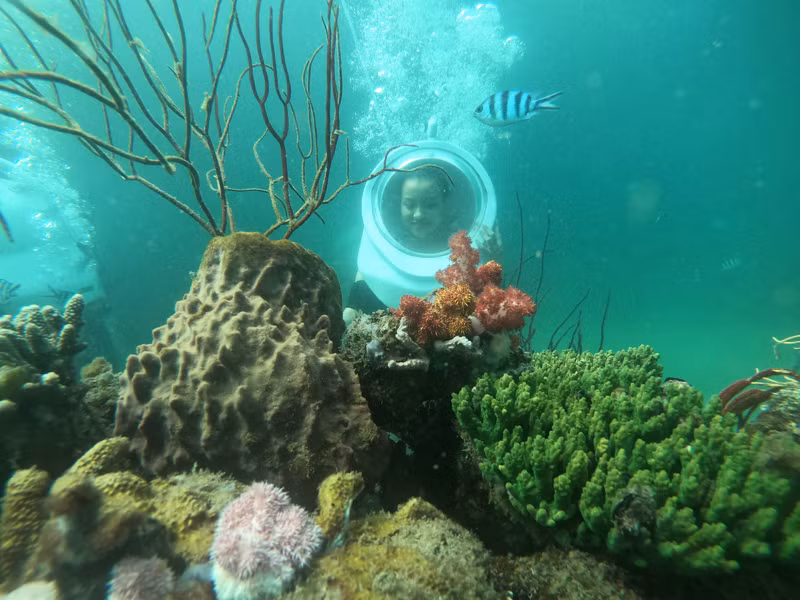 Lặn biển ngắm san hô tại Hòn Thơm 