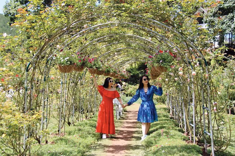Muôn vàn sắc hoa đua nở tại “Rose Garden”