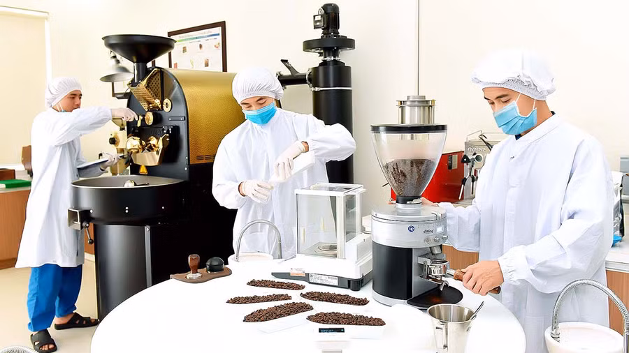 Sản xuất cà phê L'amant tại Công ty TNHH Vĩnh Hiệp. Ảnh: Đức Thụy
