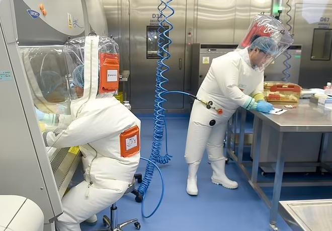 Các nhà khoa học làm việc tại Viện Virus học Vũ Hán. Ảnh: SCMP Các nhà khoa học làm việc tại Viện Virus học Vũ Hán. Ảnh: SCMP