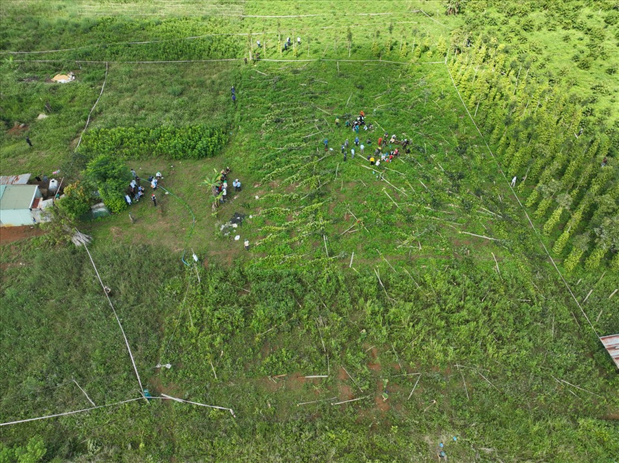 Lực lượng chức năng huyện Đắk Glong tổ chức cưỡng chế các trường hợp lấn chiếm đất ven Quốc lộ 28. Ảnh:D.P