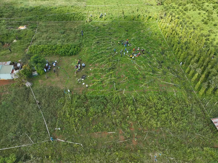 Lực lượng chức năng huyện Đắk Glong tổ chức cưỡng chế các trường hợp lấn chiếm đất ven Quốc lộ 28. Ảnh:D.P