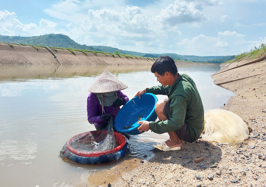 Hệ thống kênh mương Ayun Hạ có vô vàn hến. Ảnh: Hoành Sơn