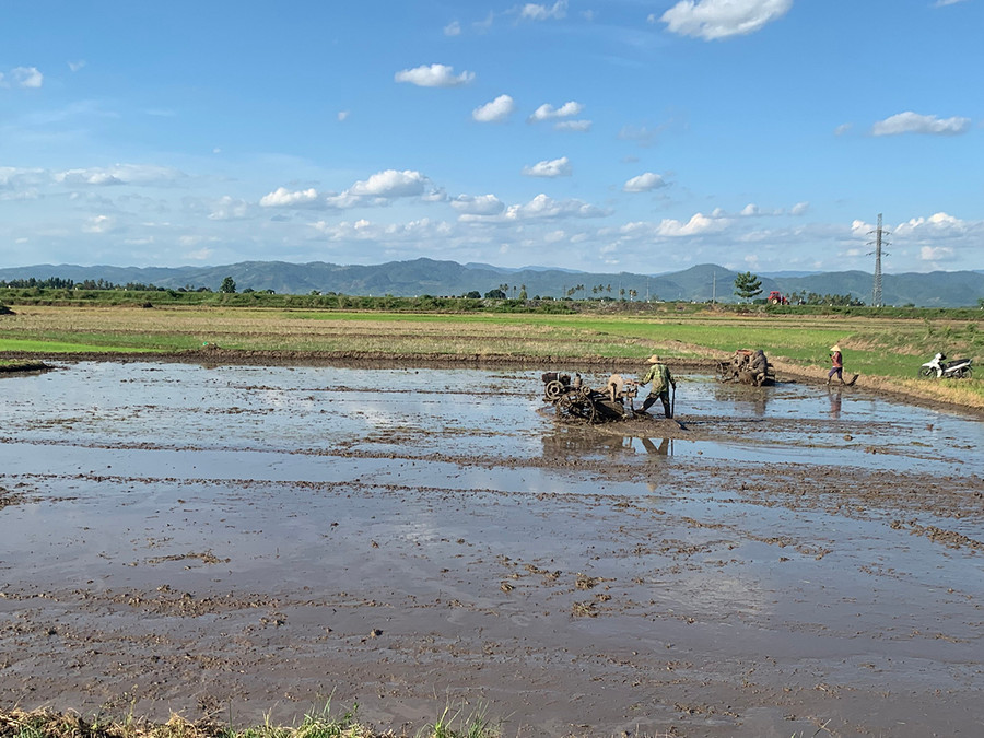 Hiện nông dân thị xã Ayun Pa đang tập trung gieo sạ đảm bảo kịp thời vụ. Ảnh: Vũ Chi 2 Hiện tại bà con nông dân thị xã Ayun Pa đang tập trung gieo sạ đảm bảo kịp thời vụ. Ảnh: Vũ Chi