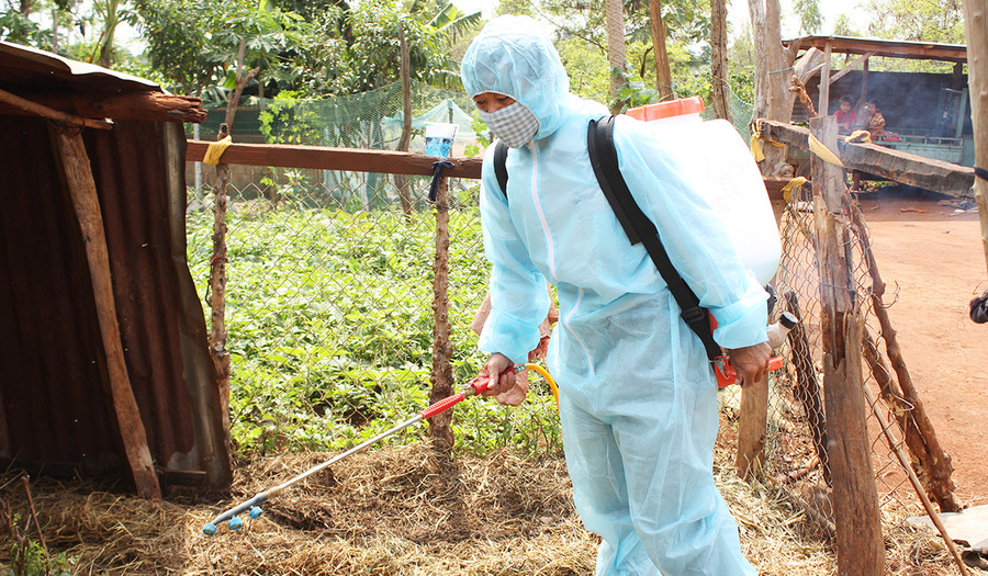 Lực lượng chức năng tiêu độc, khử trùng chuồng trại nuôi bò nhằm giảm nguy cơ xuất hiện bệnh viêm da nổi cục. Ảnh: Nguyễn Diệp Tiêu độc khử trùng chuồng trại nuôi bò nhằm giảm nguy cơ xuất hiện bệnh viêm da nổi cục. Ảnh: Nguyễn Diệp